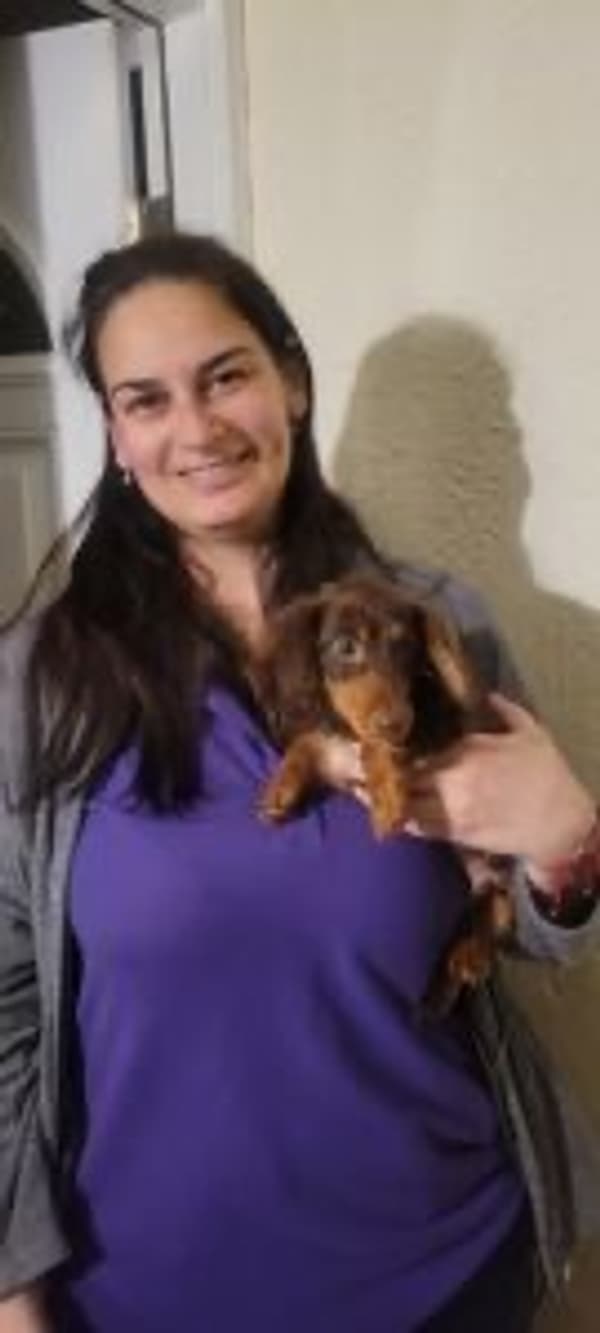 Customer photo of Dachshund, Mini puppy from Vanessa L.