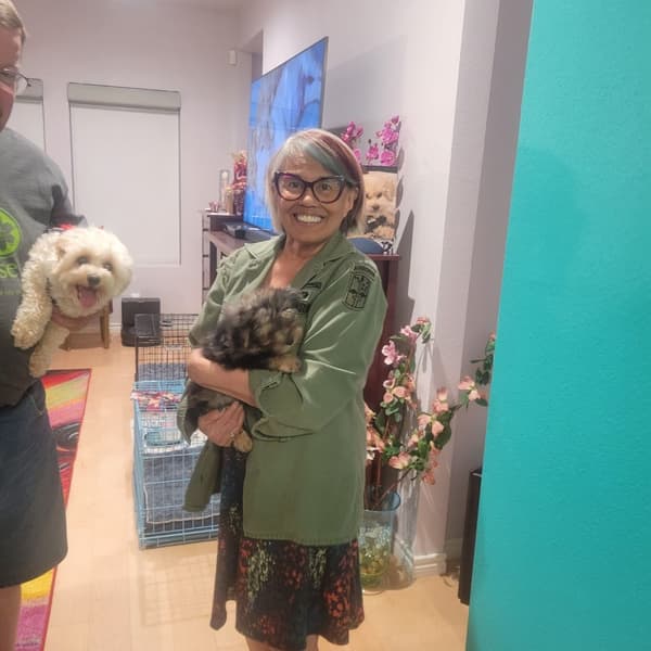Customer photo of Yorkiepoo - Yorkie Poo puppy from Dolores B.