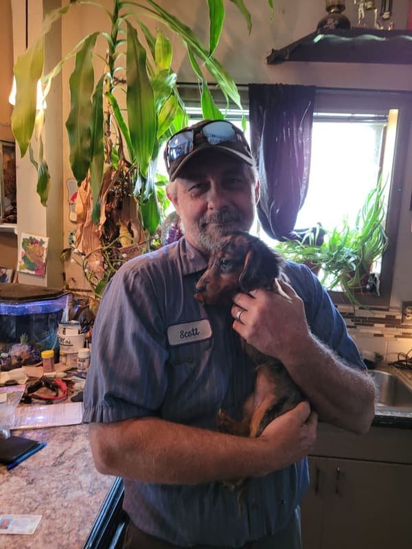 Customer photo of Dachshund, Tweenie puppy from Scott B.