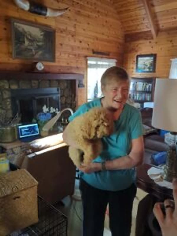 Customer photo of Poodle, Standard puppy from Lorene G.