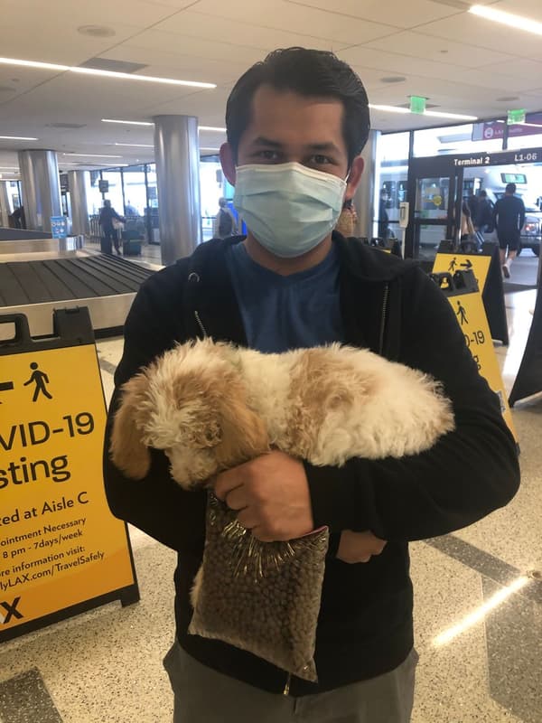 Customer photo of Labradoodle puppy from Caleb A.