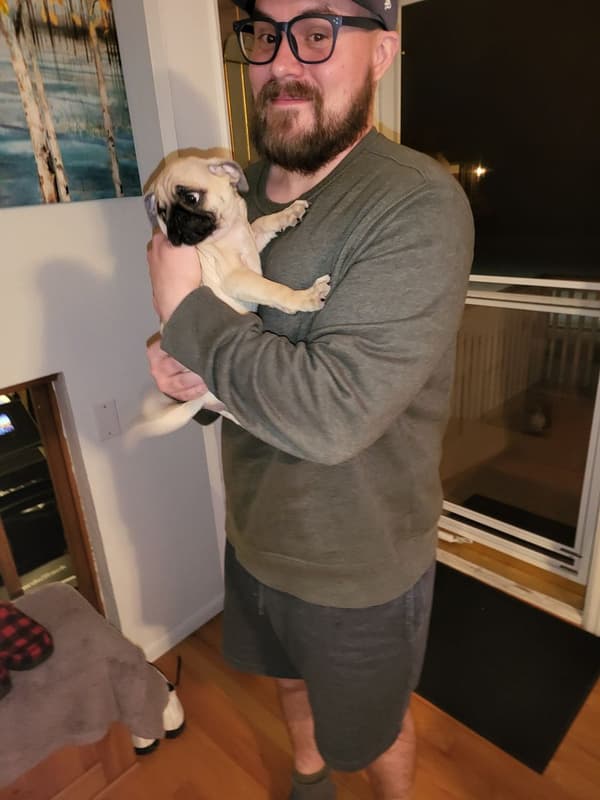 Customer photo of Pug puppy from Robert C.