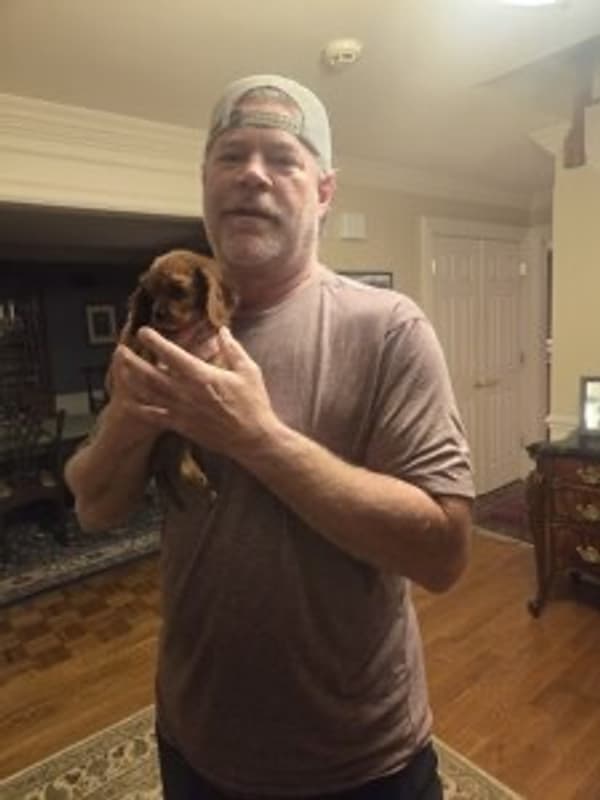 Customer photo of Cavalier King Charles Spaniel puppy from William D.
