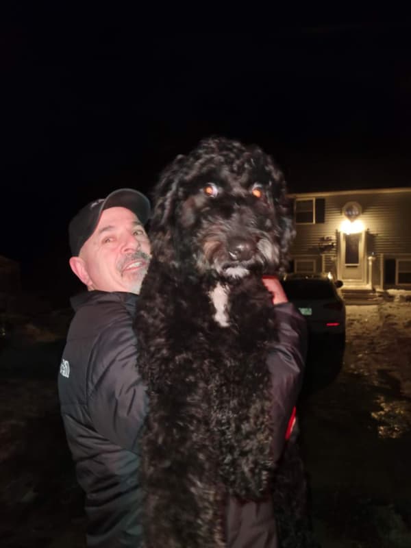 Customer photo of Bernedoodle puppy from James D. 