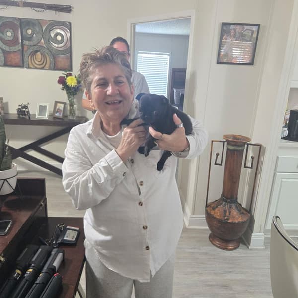 Customer photo of Pug puppy from Sherry O.