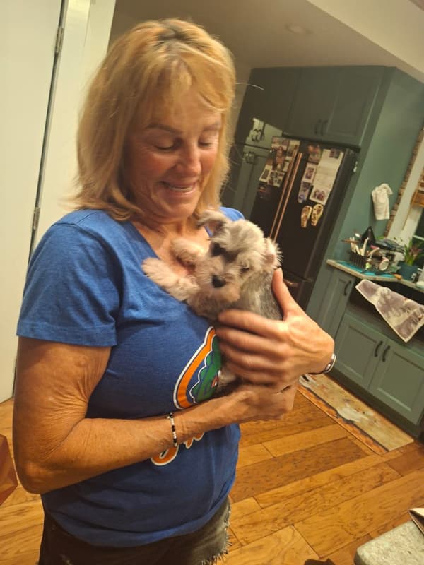 Customer photo of Schnauzer, Miniature puppy from Renee R.