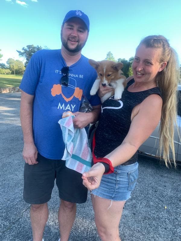 Customer photo of Corgi, Pembroke Welsh puppy from Matt H.