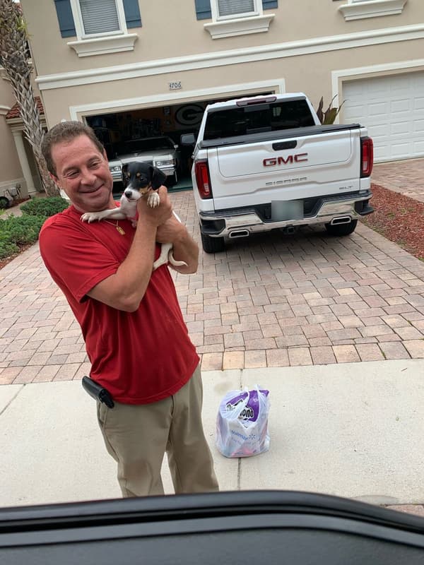 Customer photo of Jack Russell Terrier puppy from Anthony M. 