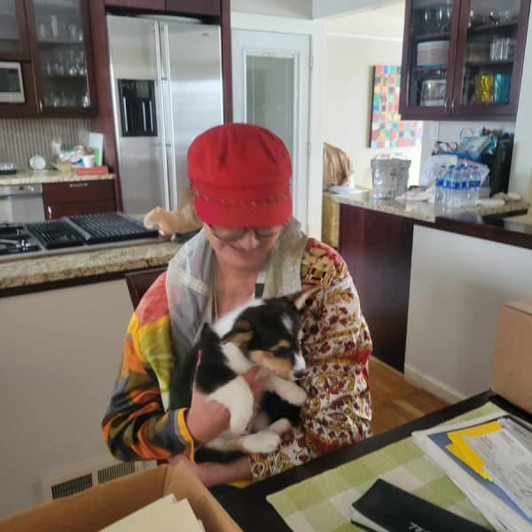 Customer photo of Corgi, Pembroke Welsh puppy from Terry E.