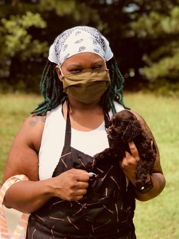 Customer photo of Cockapoo puppy from Erika M.