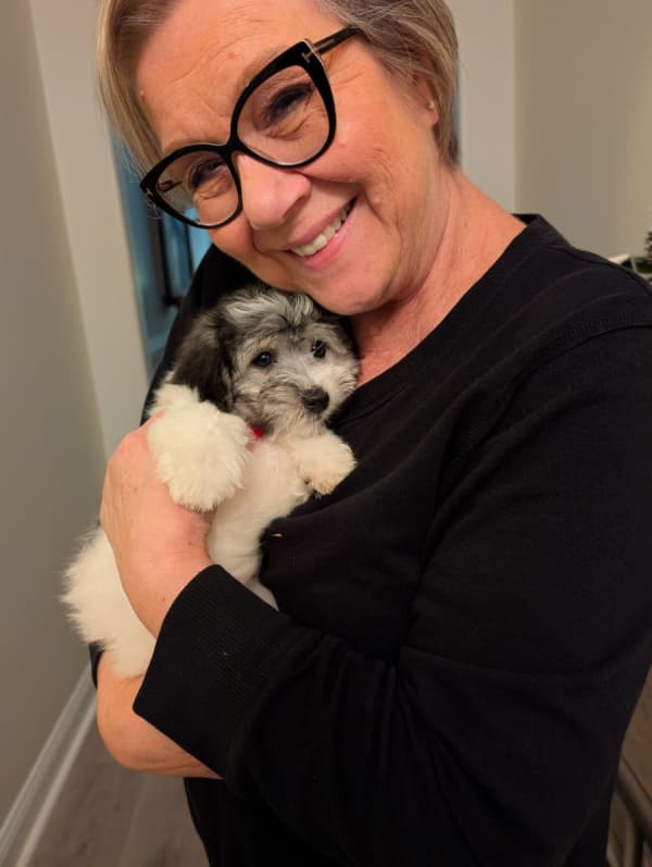 Customer photo of Coton De Tulear puppy from Lilia G.