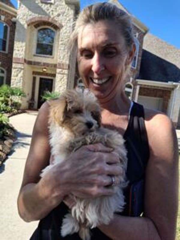 Customer photo of Malti Poo - Maltipoo puppy from Shanda M.