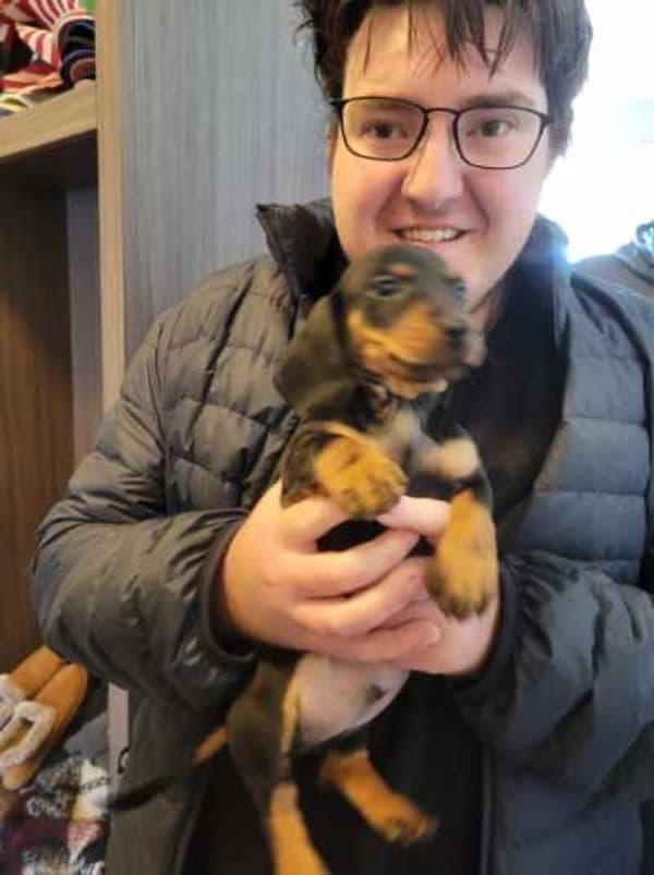 Customer photo of Dachshund, Mini puppy from Nona C.