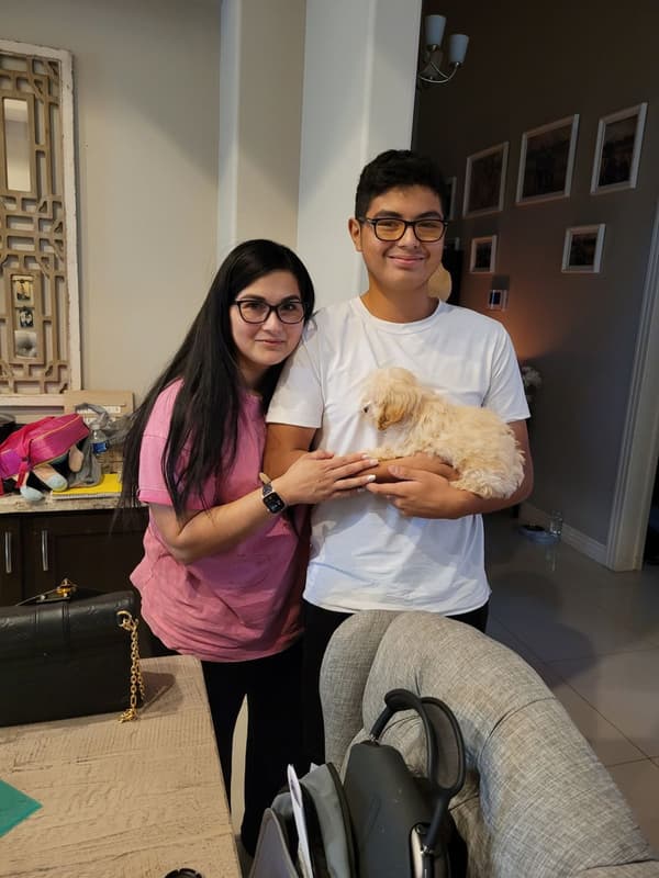 Customer photo of Shih-Poo - Shihpoo puppy from Maricela A.