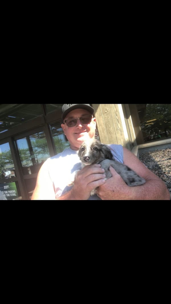 Customer photo of Aussiedoodle puppy from Vernon R.