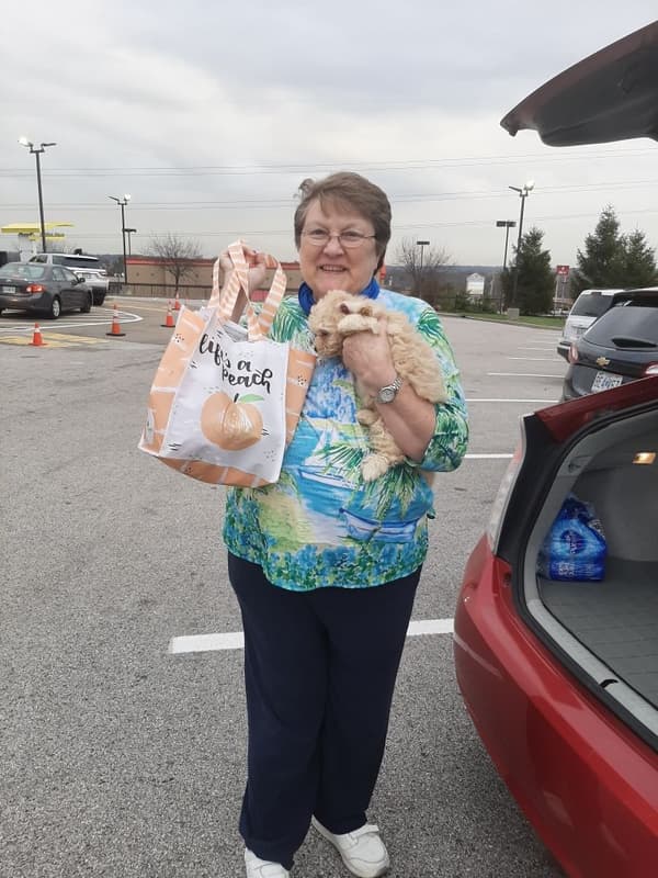 Customer photo of Cockabichon puppy from Anne B.