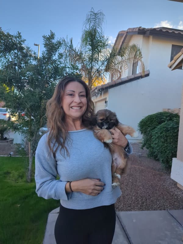 Customer photo of Shih Tzu puppy from Marcellina M.