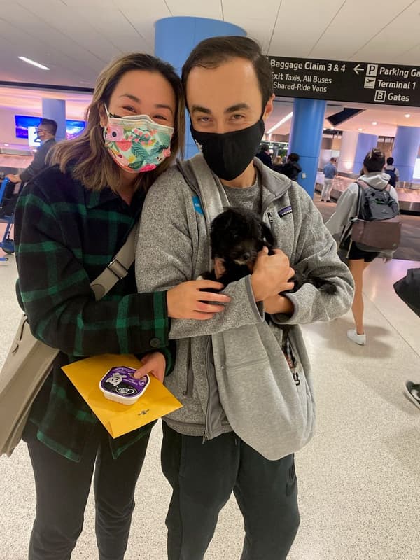 Customer photo of Poo-Shi puppy from Nick D.