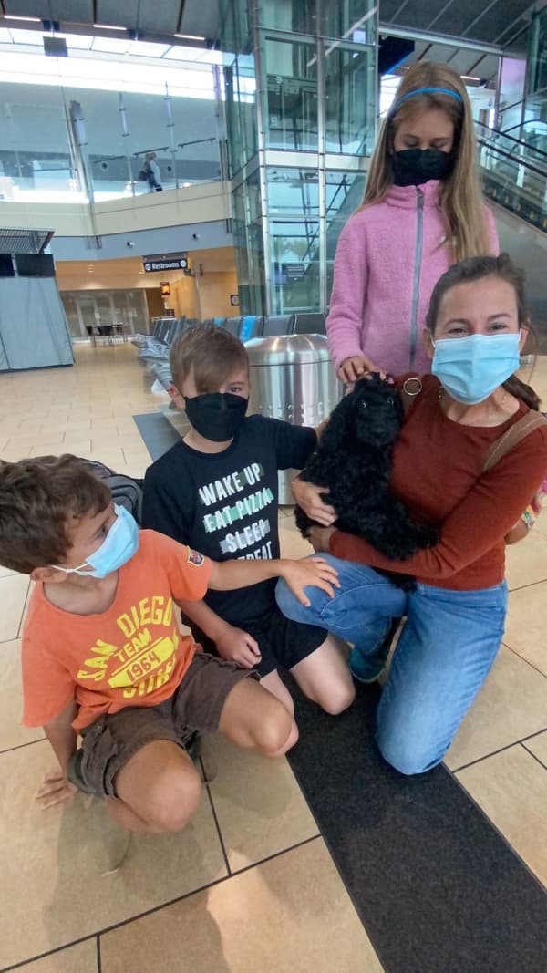 Customer photo of Bernedoodle, Mini puppy from Paige C.