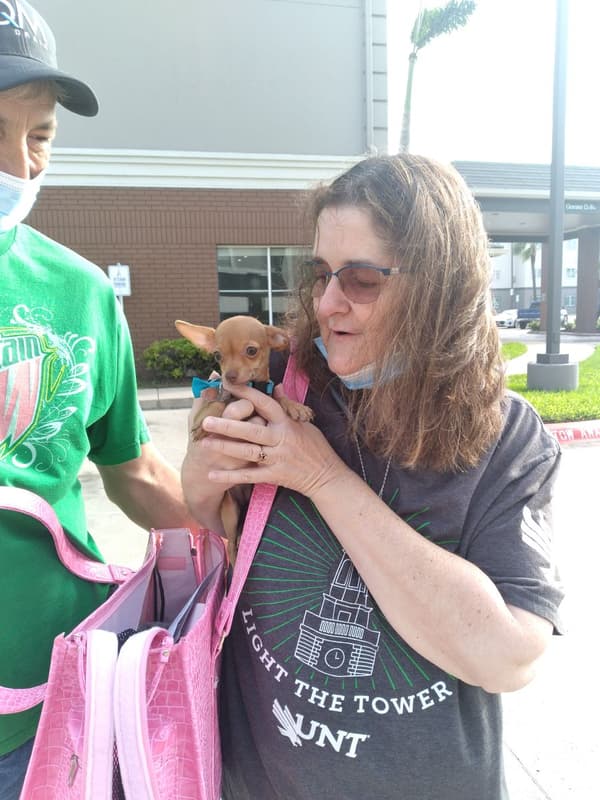 Customer photo of Chihuahua puppy from Tiffany B.