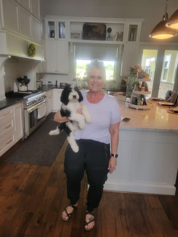 Customer photo of Bernedoodle puppy from Michelle M.
