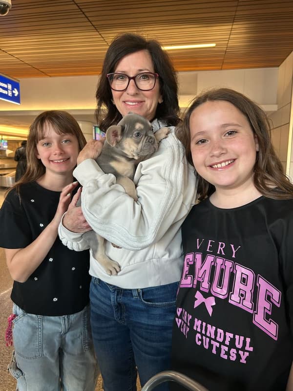 Customer photo of French Bulldog puppy from Robin R.
