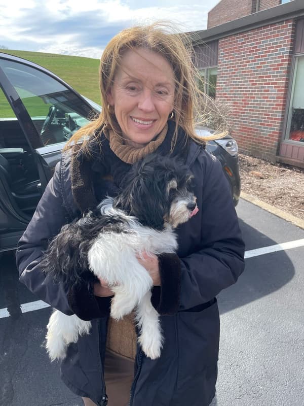 Customer photo of Cavachon puppy from Randy M.