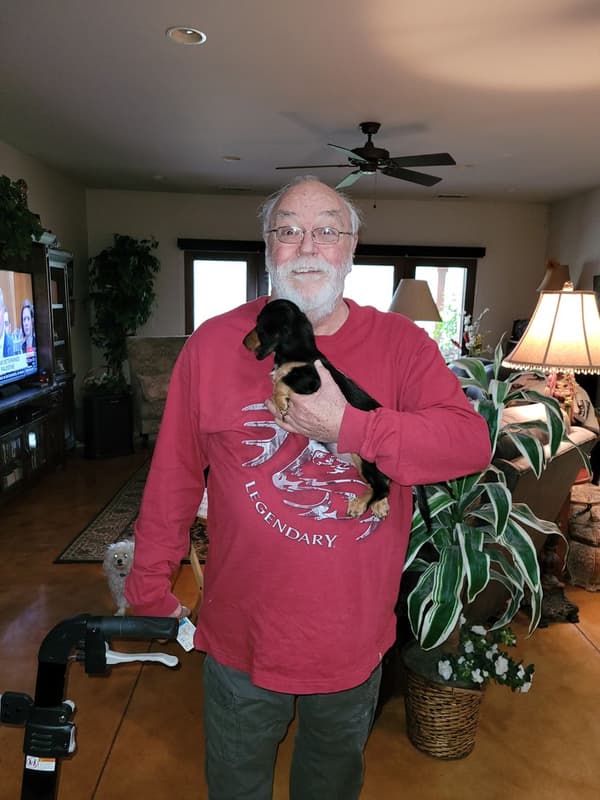 Customer photo of Dachshund, Mini puppy from William L. 