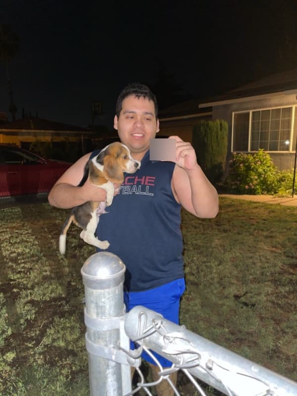 Customer photo of Beagle puppy from Dario S. 