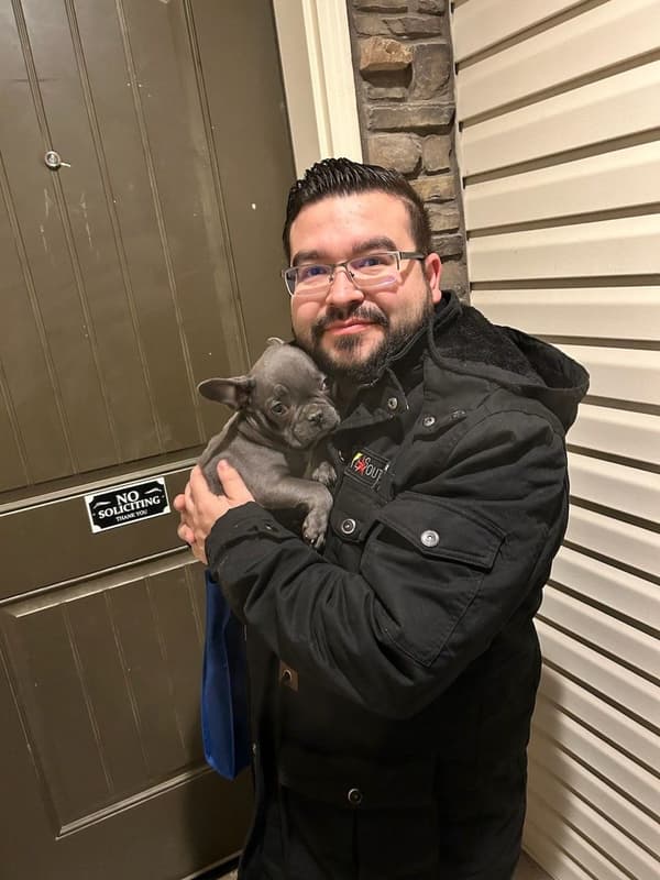 Customer photo of French Bulldog puppy from Zachary K.