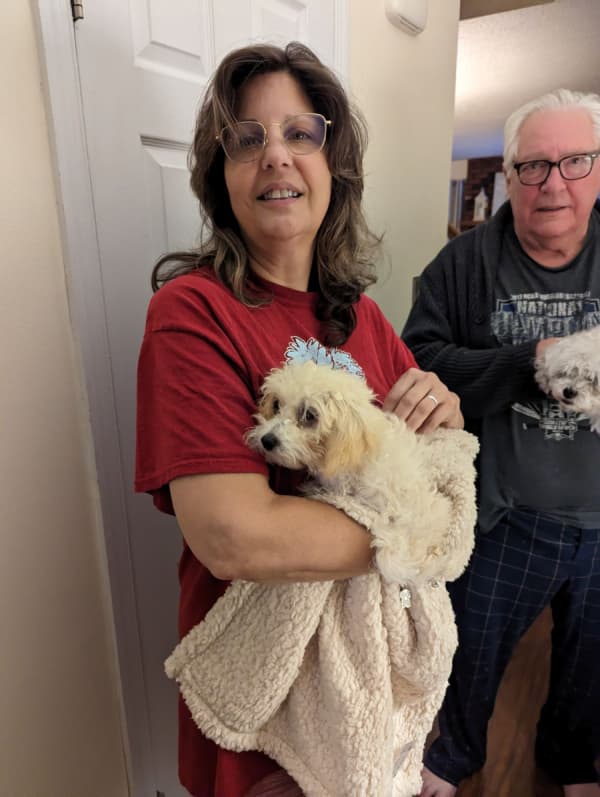 Customer photo of Bich-Poo - Bichpoo puppy from Liz A.