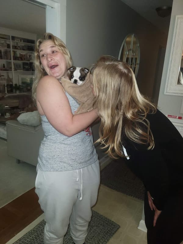 Customer photo of Boston Terrier puppy from Cheryl D.