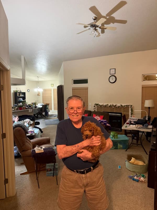 Customer photo of Poodle, Toy puppy from Robert B.