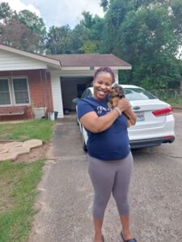 Customer photo of Yorkshire Terrier - Yorkie puppy from Shavonne H. 