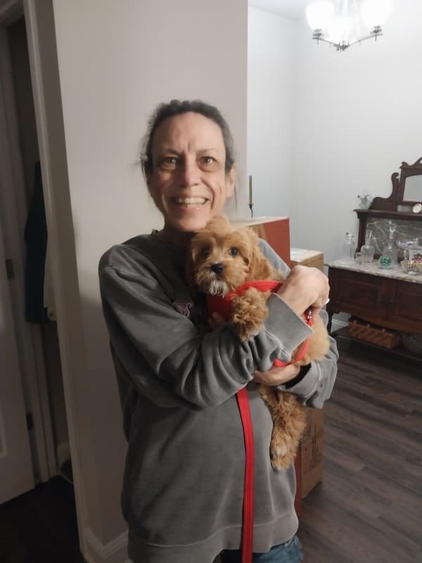 Customer photo of Cavapoo puppy from Cindy J.