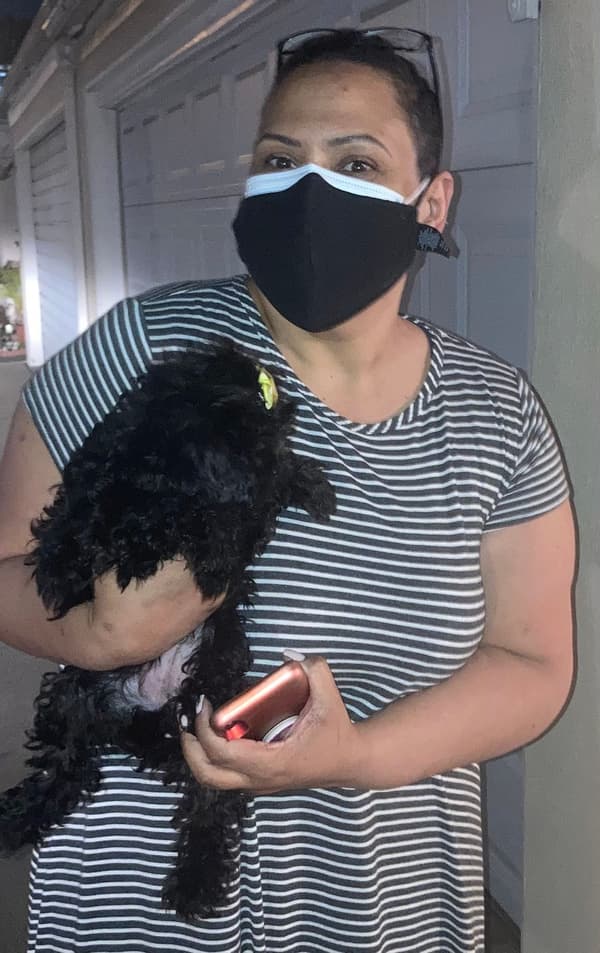 Customer photo of Cavapoo puppy from Therese H.