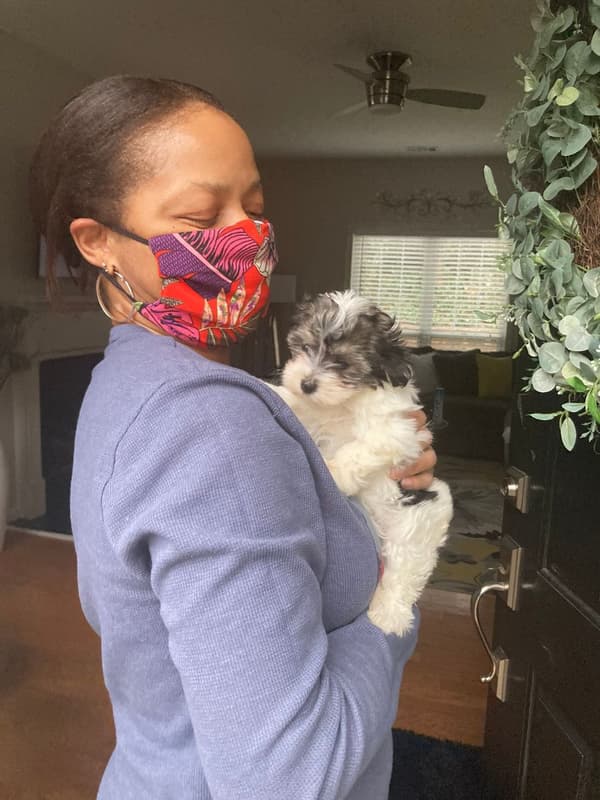 Customer photo of Havanese puppy from Renee S.