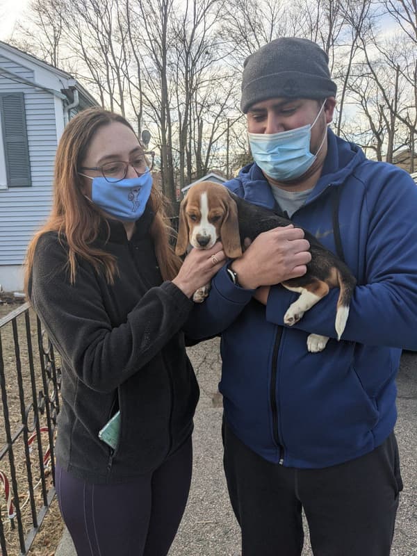 Customer photo of Beagle puppy from Claudia B.