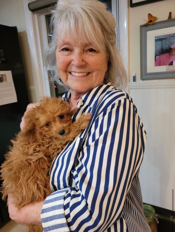 Customer photo of Cavapoo puppy from Catherine T.