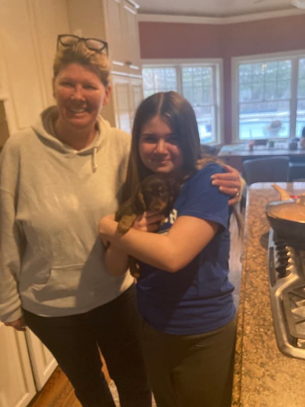 Customer photo of Dachshund, Mini puppy from Dawn Z.