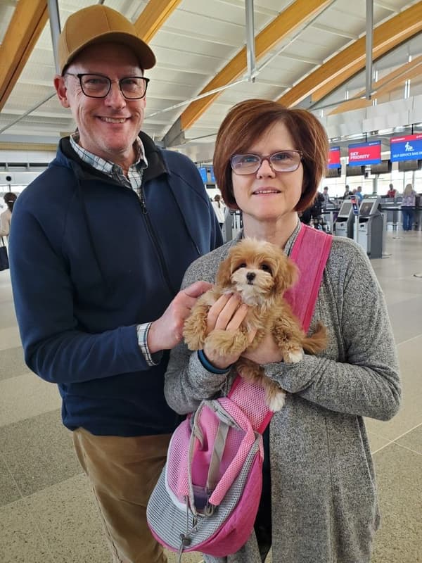 Customer photo of Havapoo puppy from Barbara S.