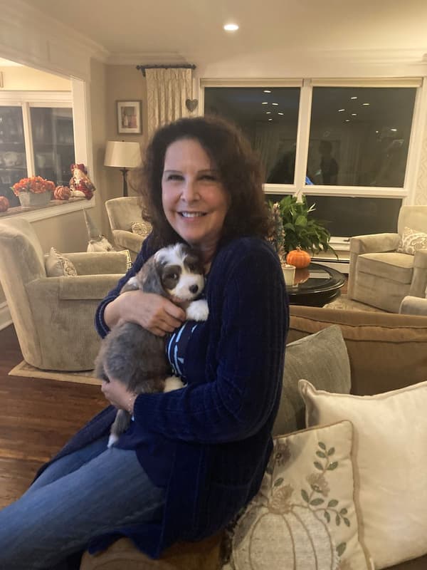 Customer photo of Bernedoodle, Mini puppy from Barbara H.
