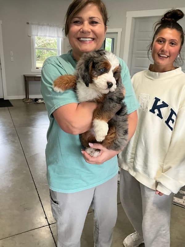 Customer photo of Bernedoodle, Mini puppy from Mary F.