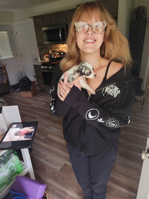 Customer photo of Chihuahua puppy from Elisabeth S.