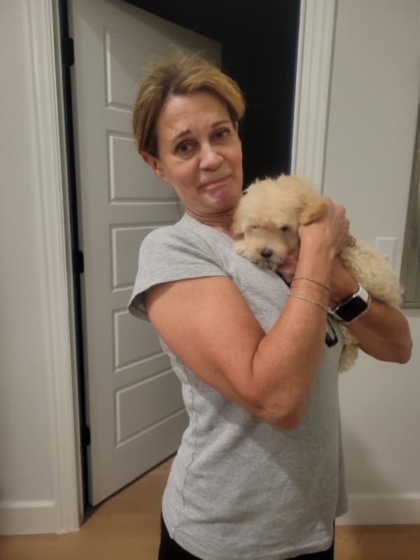 Customer photo of Goldendoodle, Mini puppy from Melisa S.