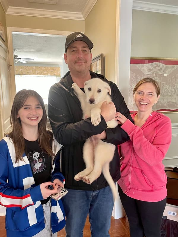 Customer photo of German Shepherd puppy from David M.