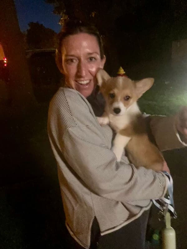 Customer photo of Corgi, Pembroke Welsh puppy from Kelsey S.