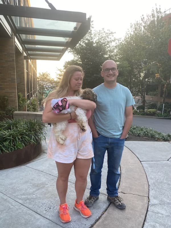 Customer photo of Poodle, Miniature puppy from Megan G. 