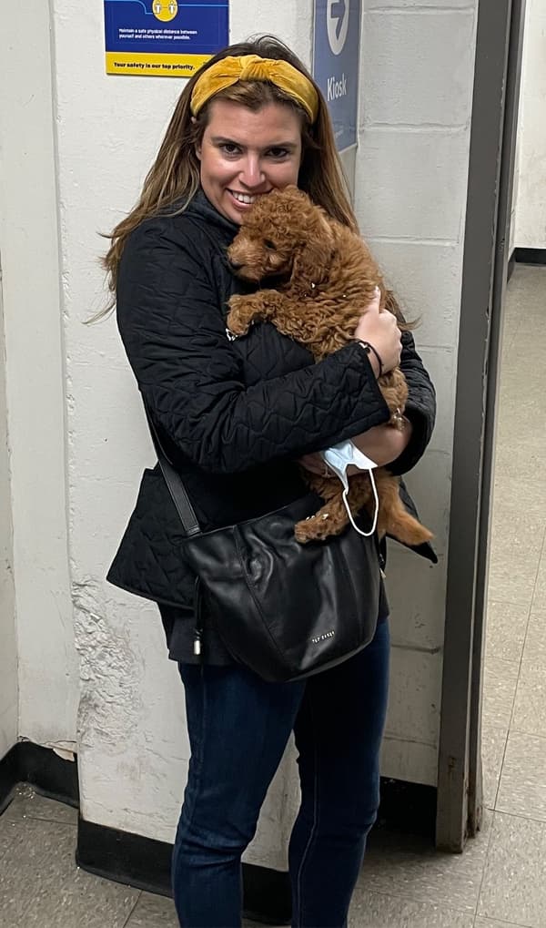 Customer photo of Goldendoodle, Mini puppy from Sara Anne H.