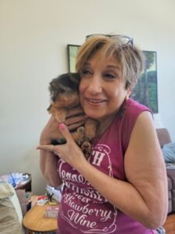 Customer photo of Yorkshire Terrier - Yorkie puppy from Linda P.